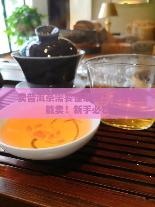 卖普洱茶需要懂茶吗