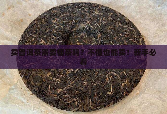 卖普洱茶需要懂茶吗