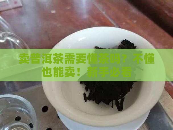 卖普洱茶需要懂茶吗