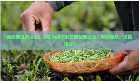 新疆普洱茶批发