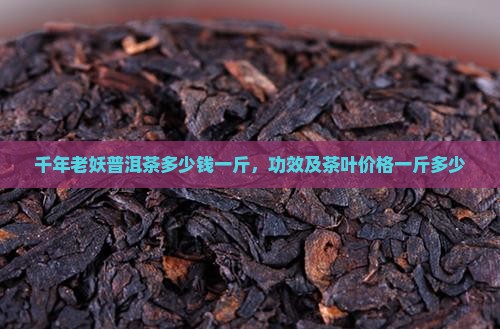 千年老妖普洱茶多少钱一斤