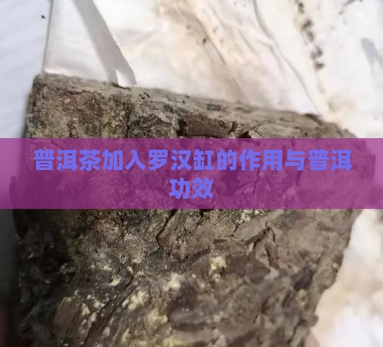 普洱茶加入罗汉缸有什么好处