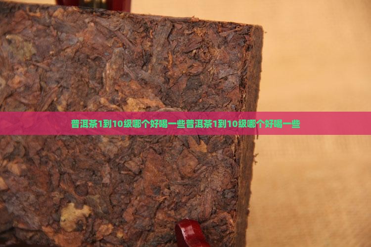 普洱茶1到10级哪个好喝一些