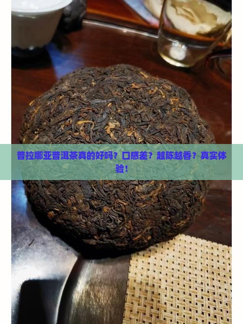普拉娜亚普洱茶怎么样