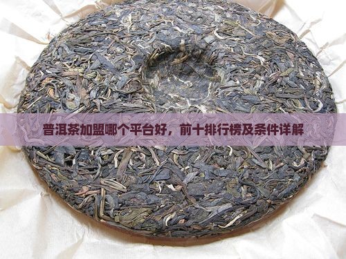普洱茶加盟哪个平台好，前十排行榜及条件详解