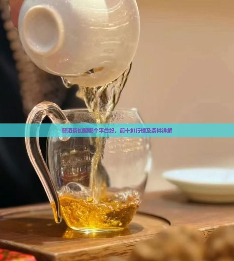 普洱茶加盟哪个平台好，前十排行榜及条件详解
