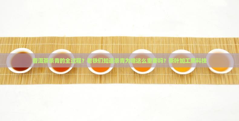 普洱茶杀青的全过程？老铁们知道杀青为啥这么重要吗？茶叶加工黑科技