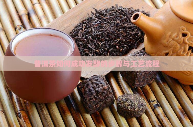 普洱茶如何成功发酵的步骤与工艺流程