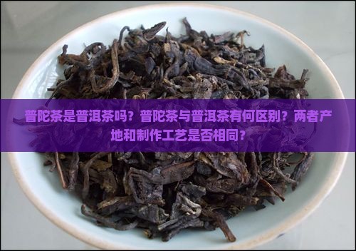 普陀茶是普洱茶吗？普陀茶与普洱茶有何区别？两者产地和制作工艺是否相同？