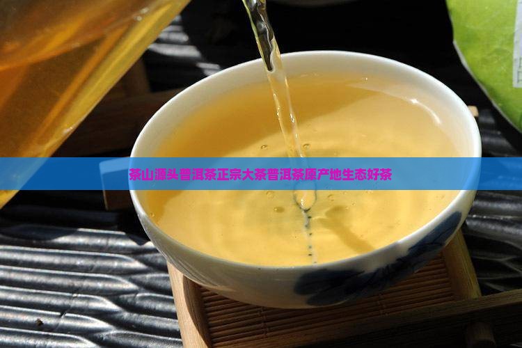 茶山源头普洱茶正宗大茶普洱茶原产地生态好茶