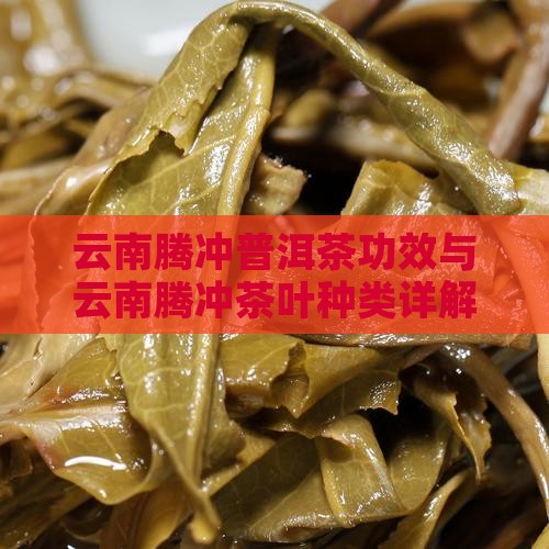 云南腾冲普洱茶功效与云南腾冲茶叶种类详解
