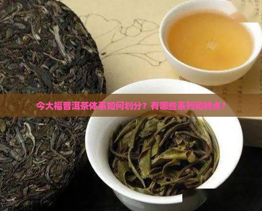 今大福普洱茶体系如何划分？有哪些系列和特点？