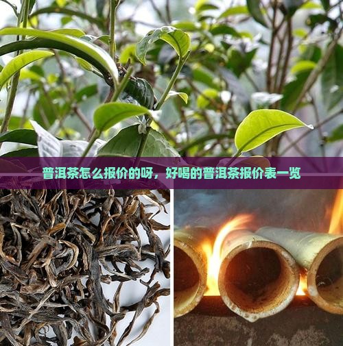 普洱茶怎么报价的呀，好喝的普洱茶报价表一览