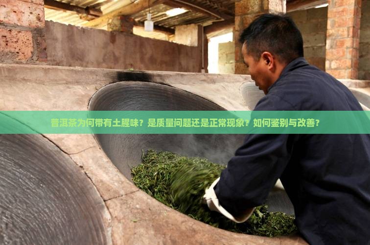 普洱茶为何带有土腥味？是质量问题还是正常现象？如何鉴别与改善？