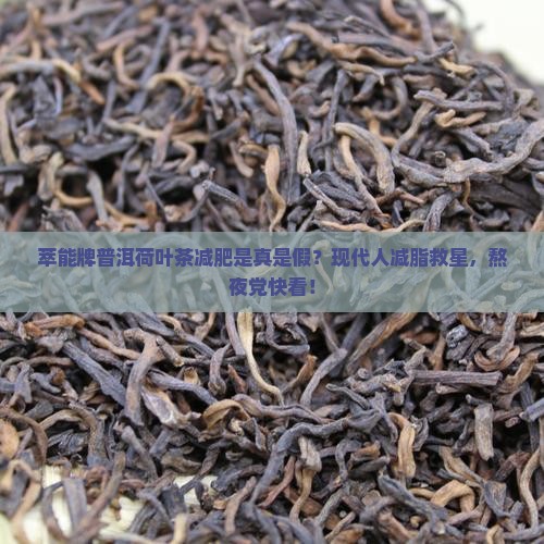 萃能牌普洱荷叶茶减肥是真是假？现代人减脂救星，熬夜党快看！