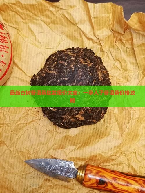 最新古树普洱茶批发报价大全：一卒人子普洱茶价格攻略