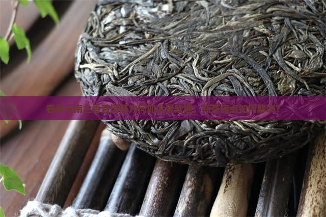 春季云南兰香普洱茶为何如此受欢迎，新茶痛点如何解决？