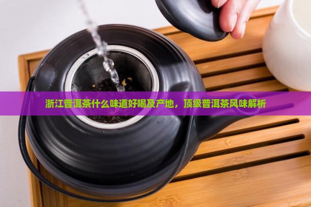 浙江普洱茶什么味道好喝及产地，顶级普洱茶风味解析