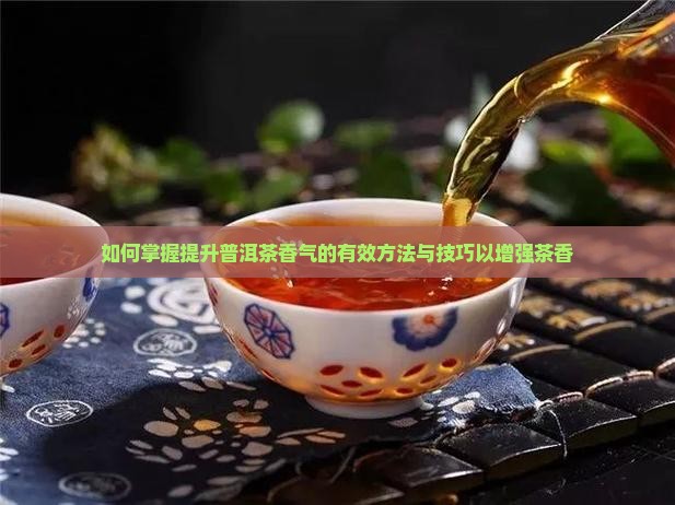 如何掌握提升普洱茶香气的有效方法与技巧以增强茶香