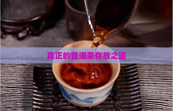 真正的普洱茶存放之道