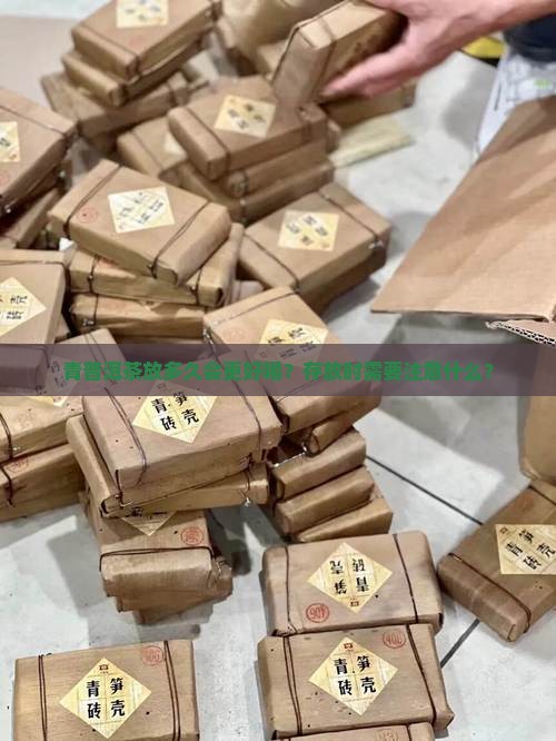 青普洱茶放多久会更好喝？存放时需要注意什么？