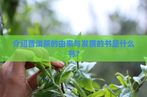 介绍普洱茶的由来与发展的书是什么书？