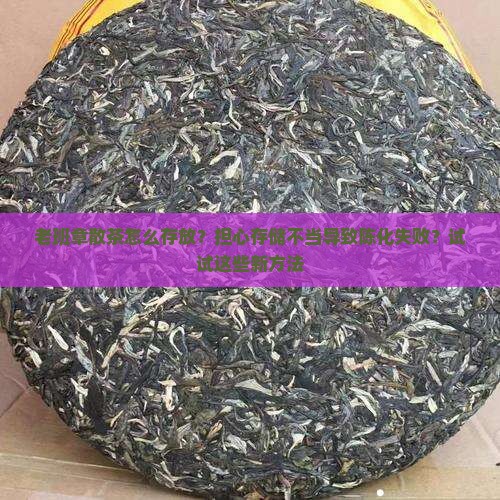 老班章散茶怎么存放？担心存储不当导致陈化失败？试试这些新方法