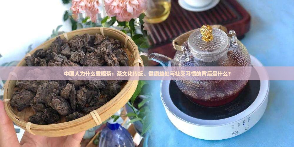 中国人为什么爱喝茶：茶文化传统、健康益处与社交习惯的背后是什么？
