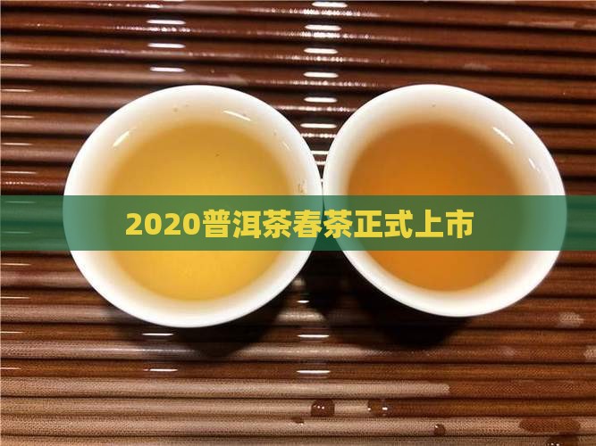 2020普洱茶春茶正式上市