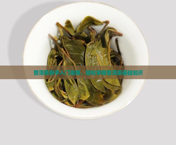 普洱茶新手入门指南，轻松掌握普洱茶基础知识