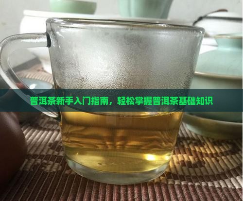 普洱茶新手入门指南，轻松掌握普洱茶基础知识