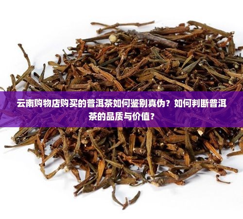 云南购物店购买的普洱茶如何鉴别真伪？如何判断普洱茶的品质与价值？