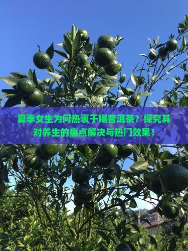 夏季女生为何热衷于喝普洱茶？探究其对养生的痛点解决与热门效果！