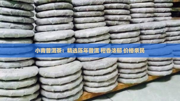 小青普洱茶：精选陈年普洱 柑香浓郁 价格亲民