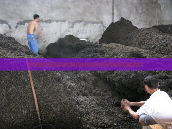 农思益普洱茶品种如何将传统韵味与现代痛点完美结合？