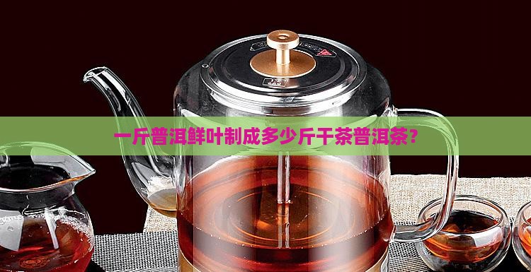 一斤普洱鲜叶制成多少斤干茶普洱茶？