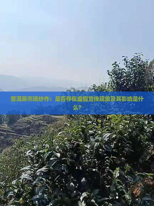 普洱茶市场炒作：是否存在虚假宣传现象及其影响是什么？