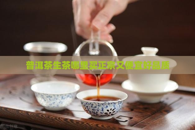 普洱茶生茶哪里买正宗又便宜好品质