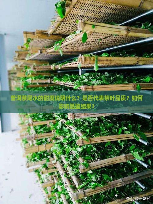 普洱茶尾水的甜度说明什么？是否代表茶叶品质？如何影响品鉴结果？