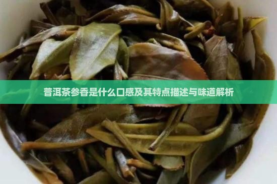 普洱茶参香是什么口感及其特点描述与味道解析