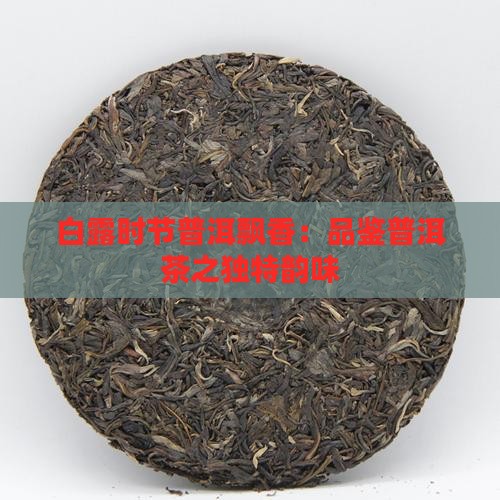白露时节普洱飘香：品鉴普洱茶之独特韵味