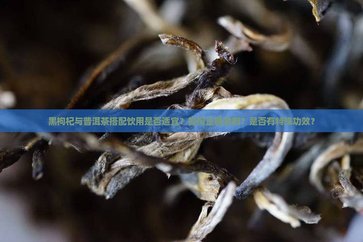 黑枸杞与普洱茶搭配饮用是否适宜？如何正确泡制？是否有特殊功效？