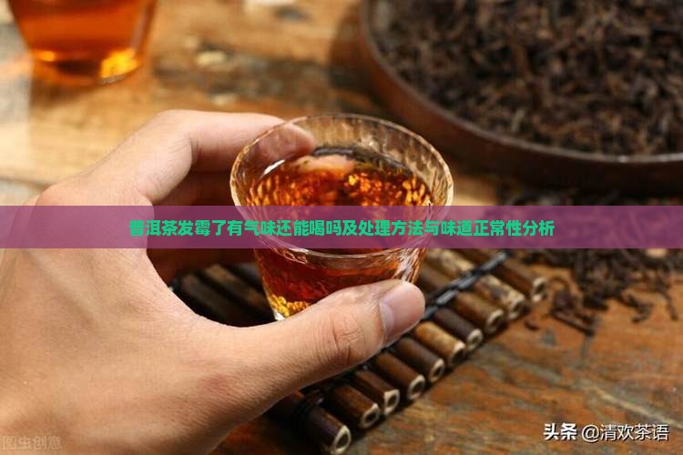 普洱茶发霉了有气味还能喝吗及处理方法与味道正常性分析
