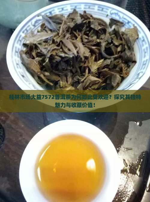 桂林市场大益7572普洱茶为何如此受欢迎？探究其独特魅力与收藏价值！