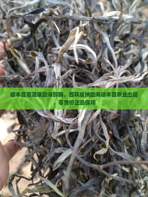 德丰昌普洱茶勐海醇酶，西双版纳勐海德丰昌茶业出品，零售价正品保障