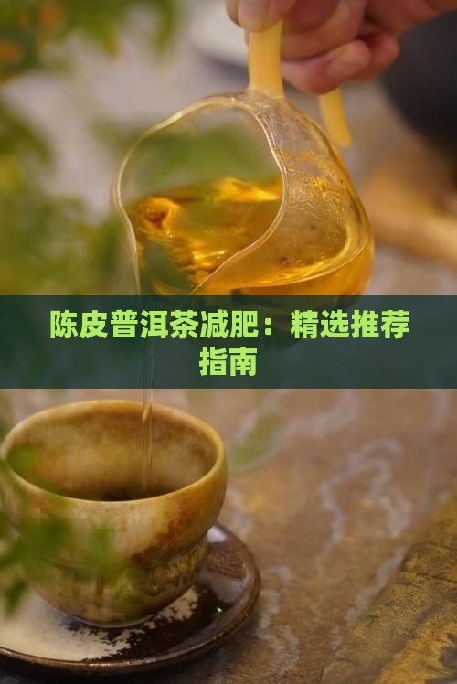 陈皮普洱茶减肥：精选推荐指南
