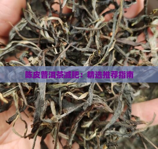 陈皮普洱茶减肥：精选推荐指南