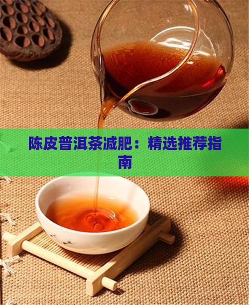 陈皮普洱茶减肥：精选推荐指南
