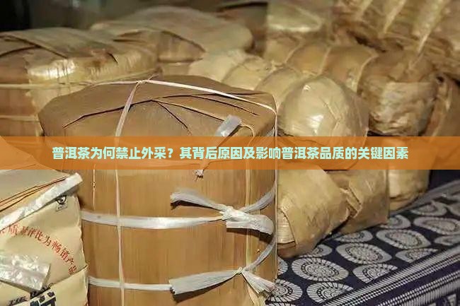 普洱茶为何禁止外采？其背后原因及影响普洱茶品质的关键因素