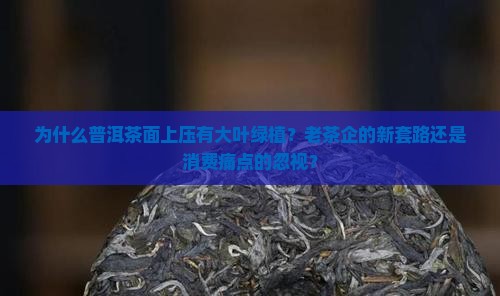 为什么普洱茶面上压有大叶绿植？老茶企的新套路还是消费痛点的忽视？